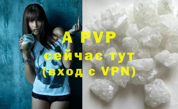 apvp Алексин
