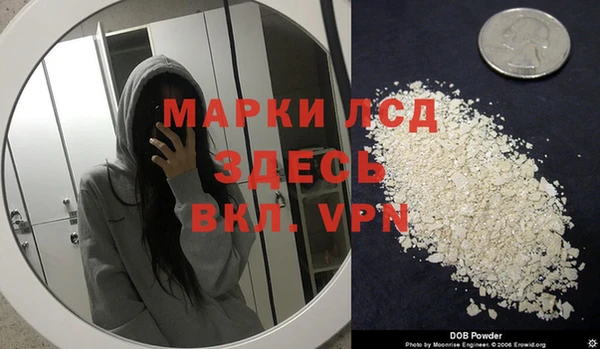 apvp Алексин