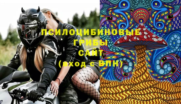 apvp Алексин