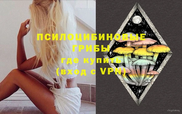 хмурый Алексеевка