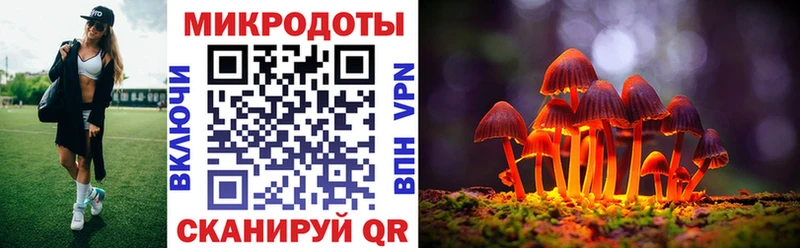 Псилоцибиновые грибы прущие грибы Каменск-Уральский